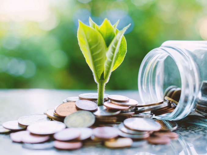 Business Investment Taxes